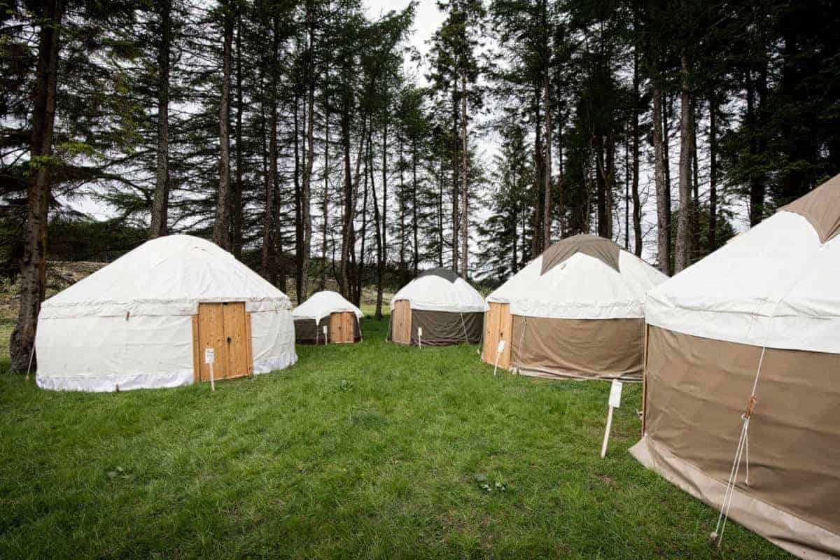 Knockengorroch World Ceilidh - Red Kite Yurts available to hire